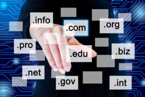 Domain Name Search