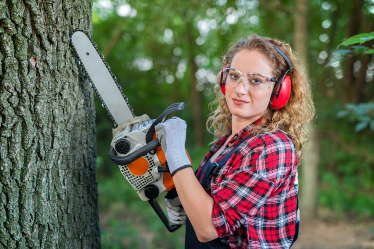 Choosing the Right Tree Removal and Stump Removal Service: Qualities to Look For