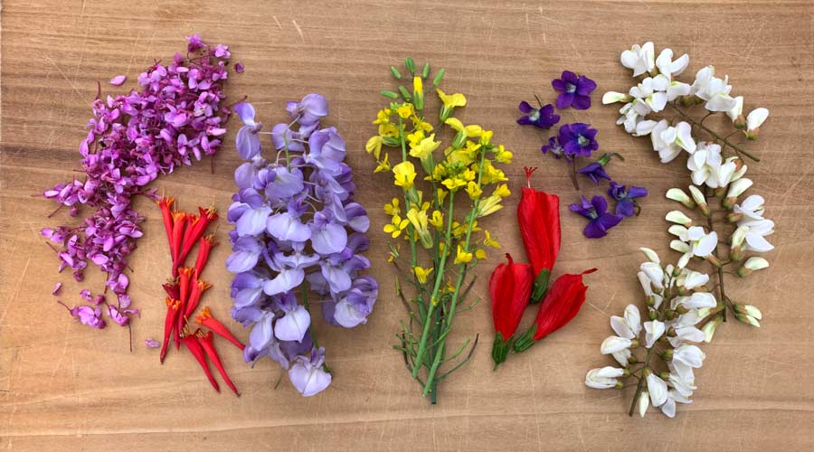 Flavors of Wild flower