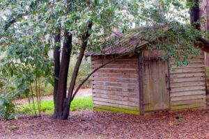 Gardening Sheds 101: Maximising Space with Smart Storage Strategies