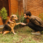 dog training