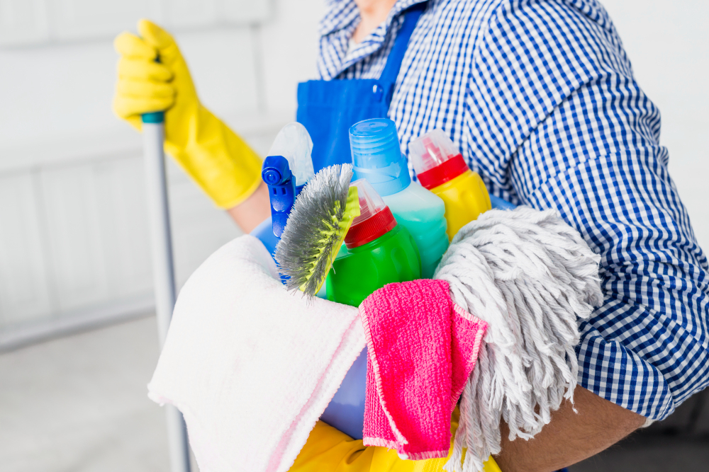 Professional Cleaners in London