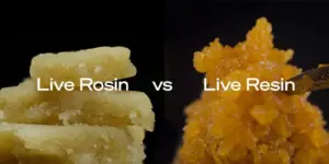 cannabis cincentrates