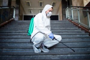 The Importance of Pest and Building Inspections in Pakenham